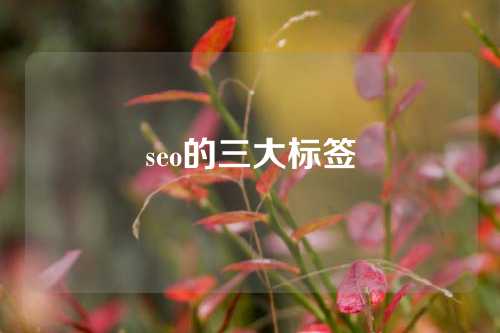 seo的三大标签