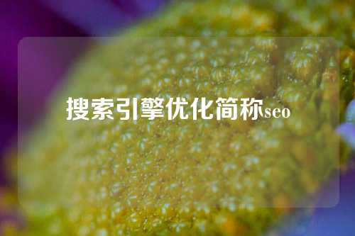 搜索引擎优化简称seo