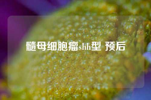 髓母细胞瘤shh型 预后