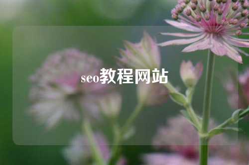 seo教程网站