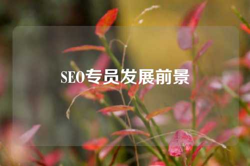 SEO专员发展前景