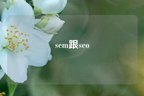 sem跟seo