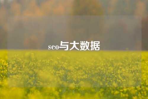 seo与大数据