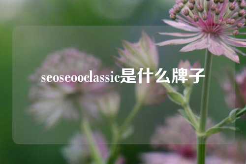 seoseooclassic是什么牌子