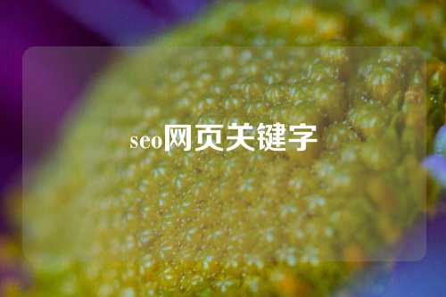 seo网页关键字