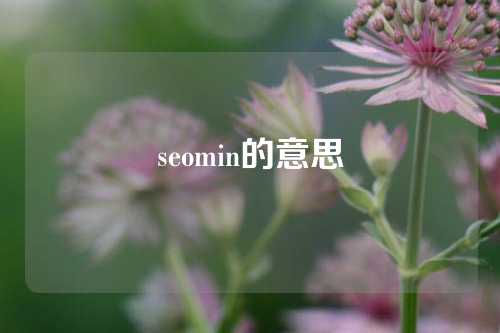 seomin的意思