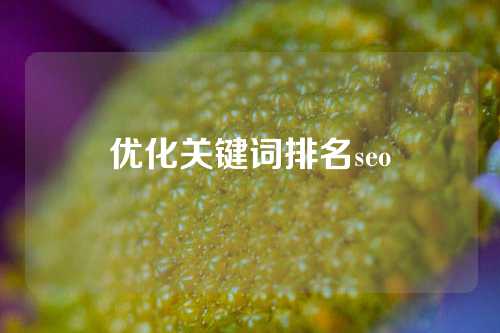 优化关键词排名seo