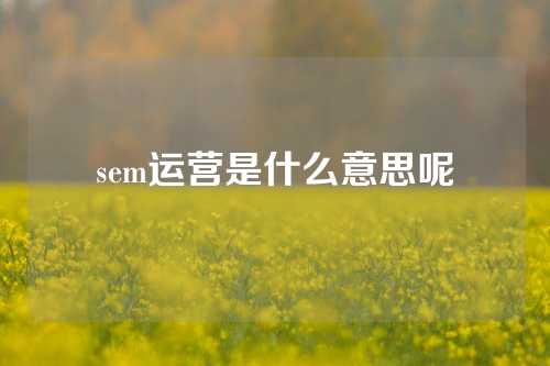 sem运营是什么意思呢