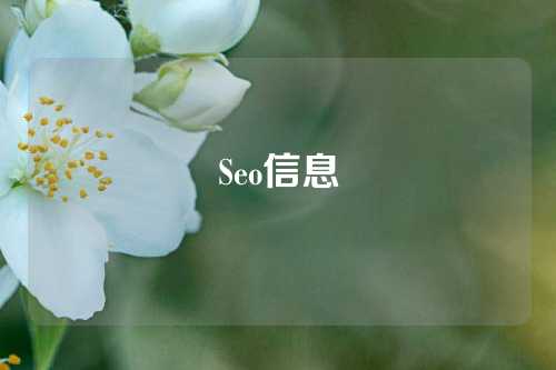 Seo信息