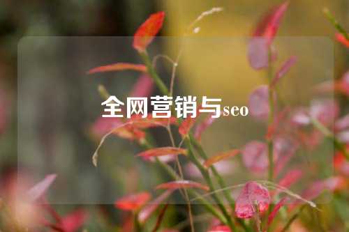 全网营销与seo