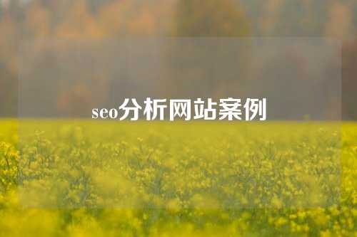 seo分析网站案例