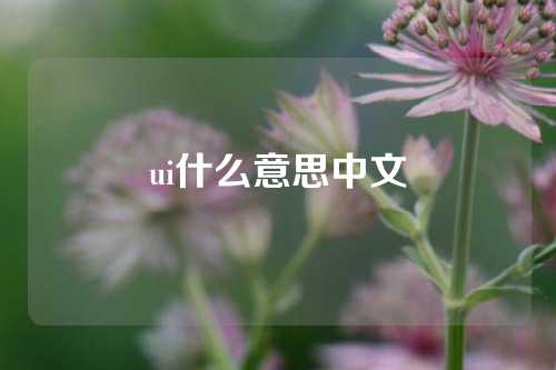 ui什么意思中文