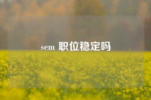 sem 职位稳定吗