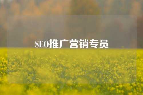 SEO推广营销专员