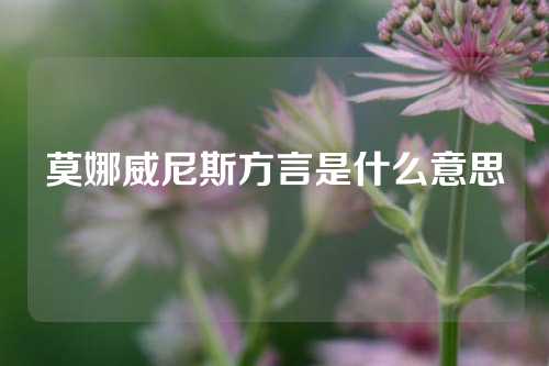 莫娜威尼斯方言是什么意思