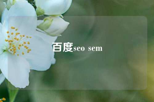 百度seo sem