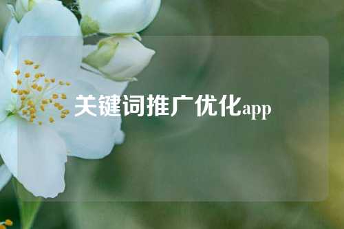 关键词推广优化app