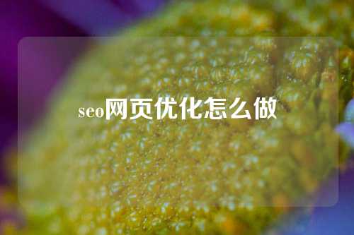 seo网页优化怎么做