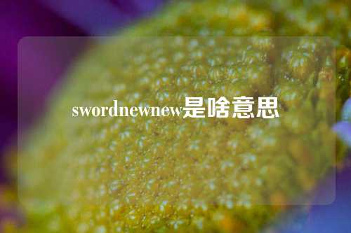 swordnewnew是啥意思