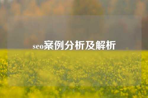 seo案例分析及解析