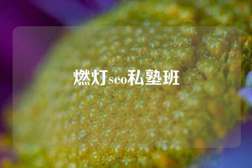 燃灯seo私塾班