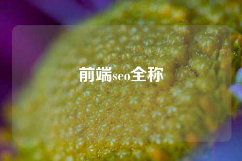 前端seo全称