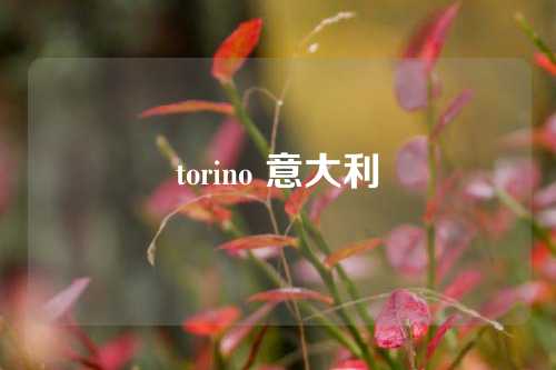 torino 意大利