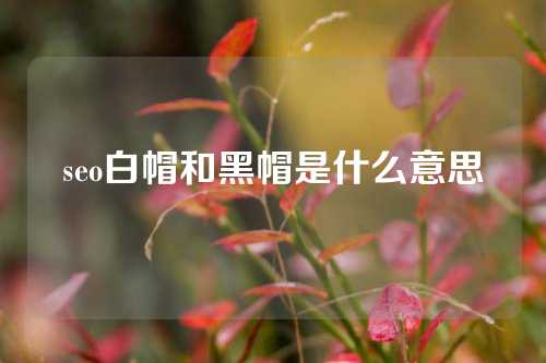 seo白帽和黑帽是什么意思