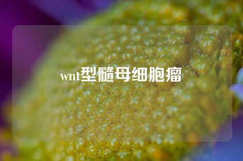 wnt型髓母细胞瘤