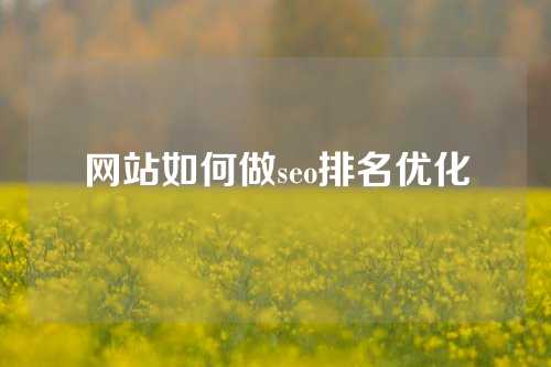 网站如何做seo排名优化