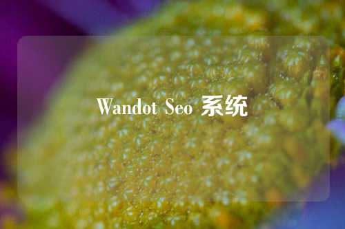 Wandot Seo 系统