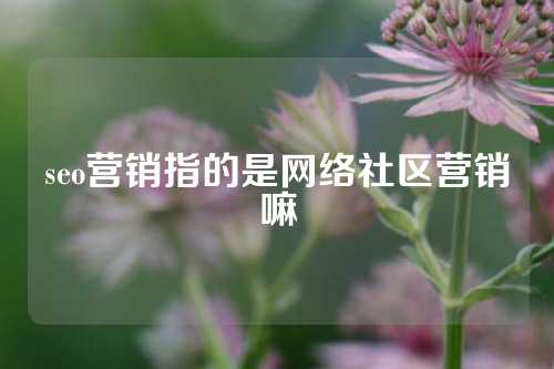 seo营销指的是网络社区营销嘛