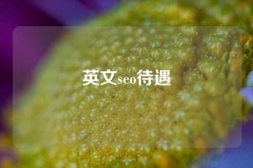 英文seo待遇