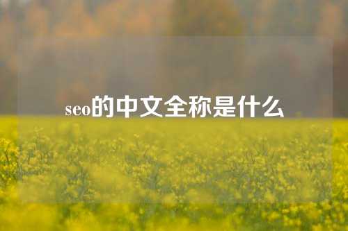 seo的中文全称是什么