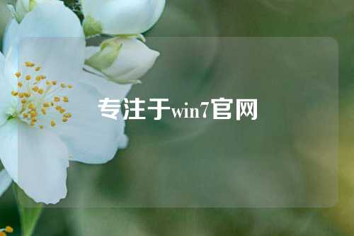 专注于win7官网