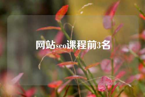 网站seo课程前3名