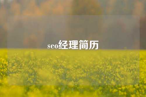 seo经理简历