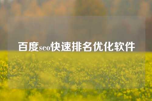 百度seo快速排名优化软件