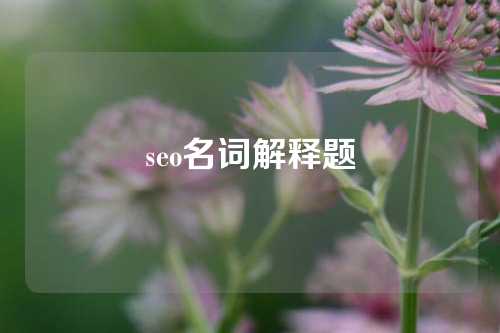 seo名词解释题