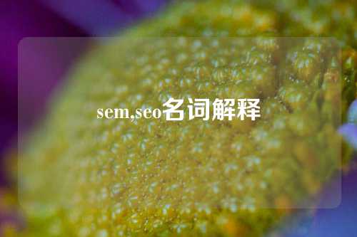 sem,seo名词解释