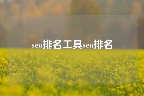 seo排名工具seo排名