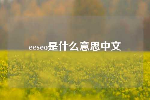 eeseo是什么意思中文