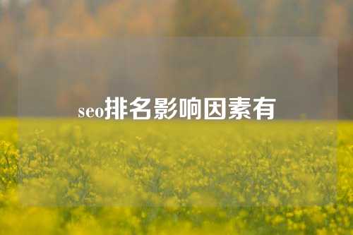 seo排名影响因素有