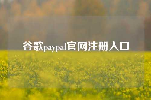 谷歌paypal官网注册入口