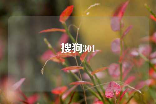 搜狗301