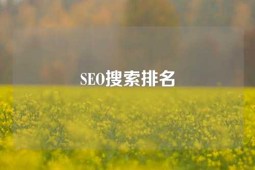 SEO搜索排名