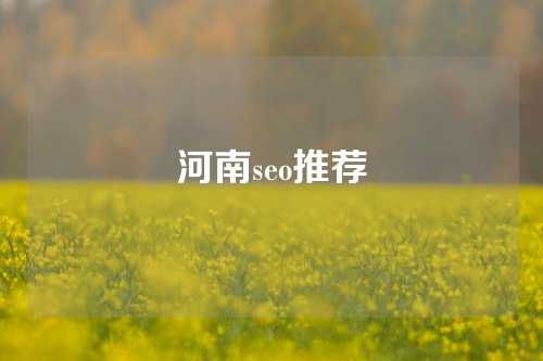 河南seo推荐