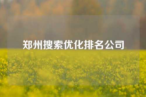 郑州搜索优化排名公司