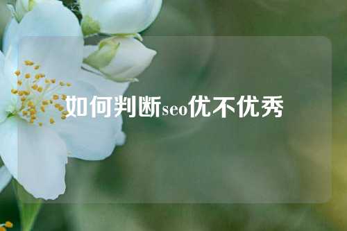 如何判断seo优不优秀