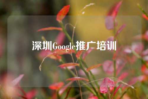 深圳Google推广培训